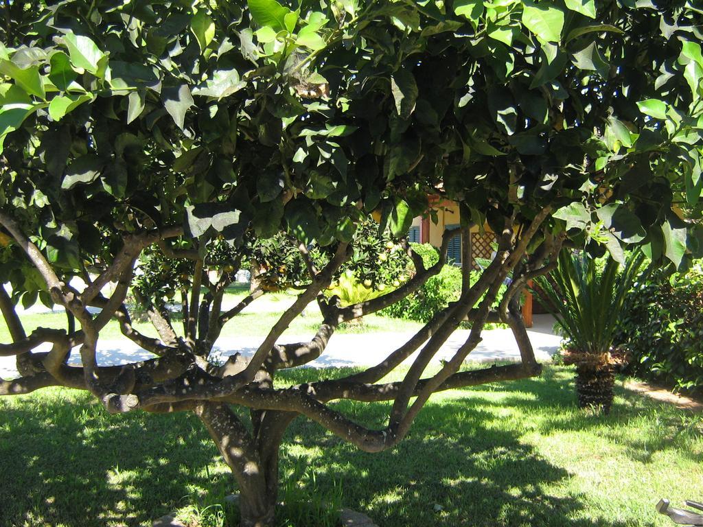 Tenuta Paifer Vakantieboerderij Otranto