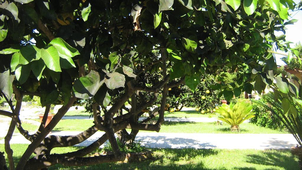 Tenuta Paifer *