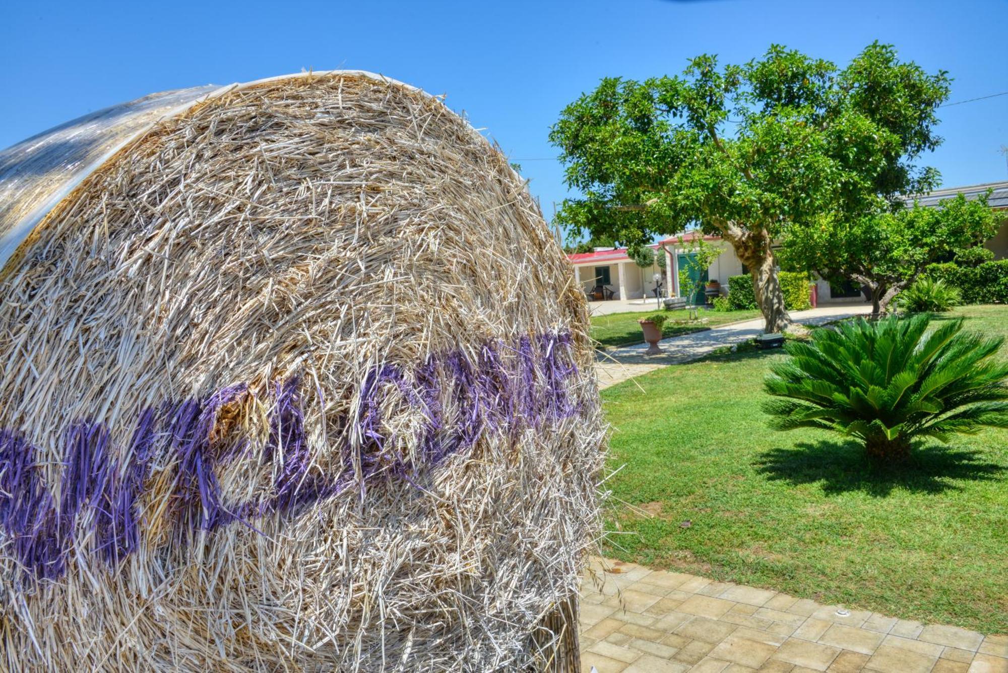 Tenuta Paifer Vakantieboerderij Otranto